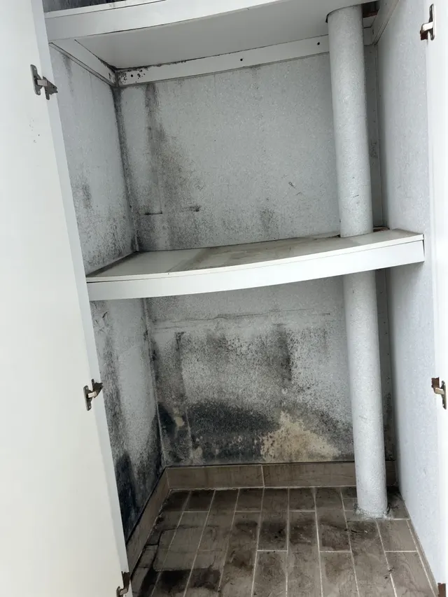 벽장 내부에 번진 곰팡이와 선반 상태